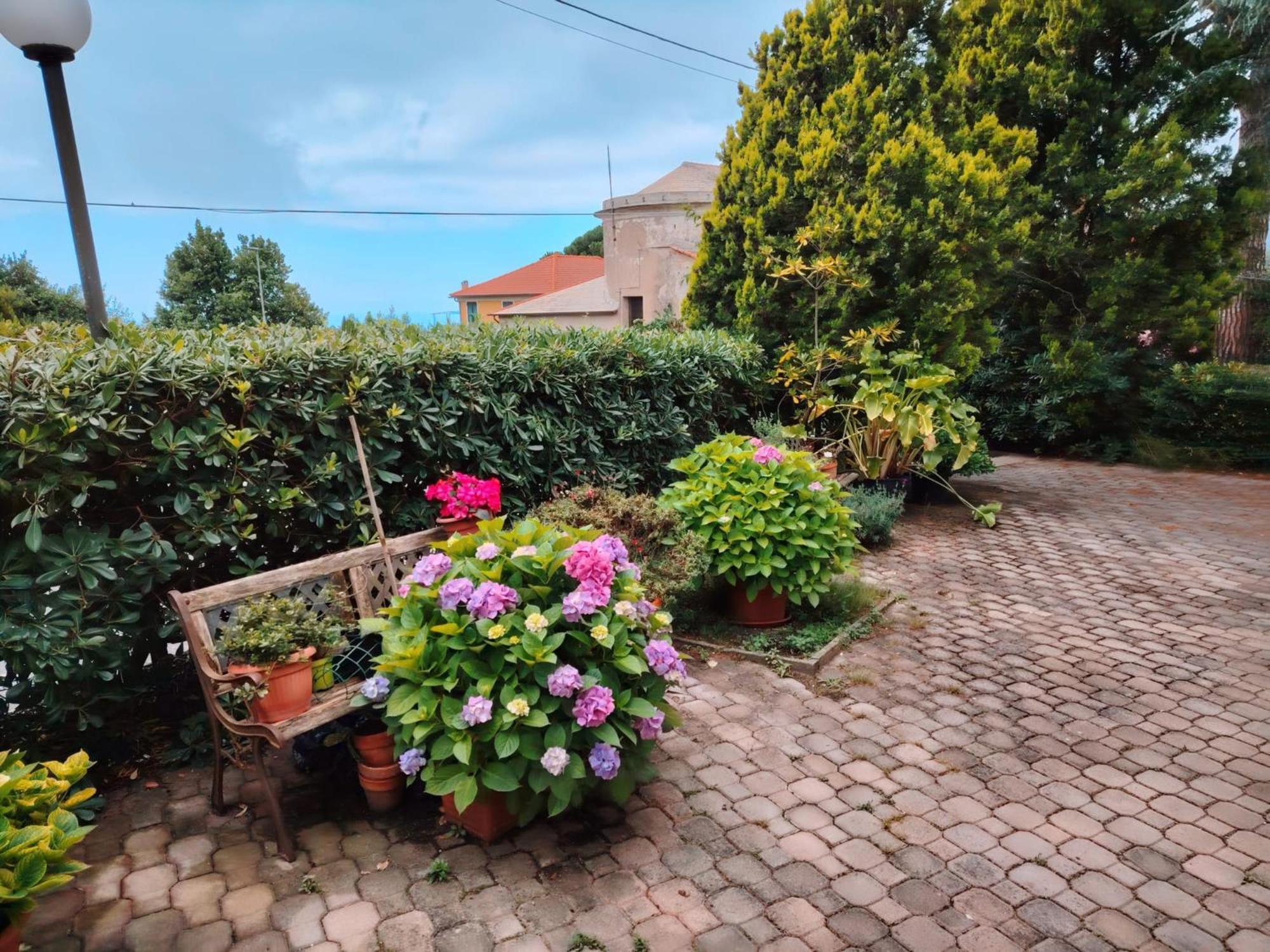 Hotel Silvia Framura - Cinque Terre Exteriér fotografie