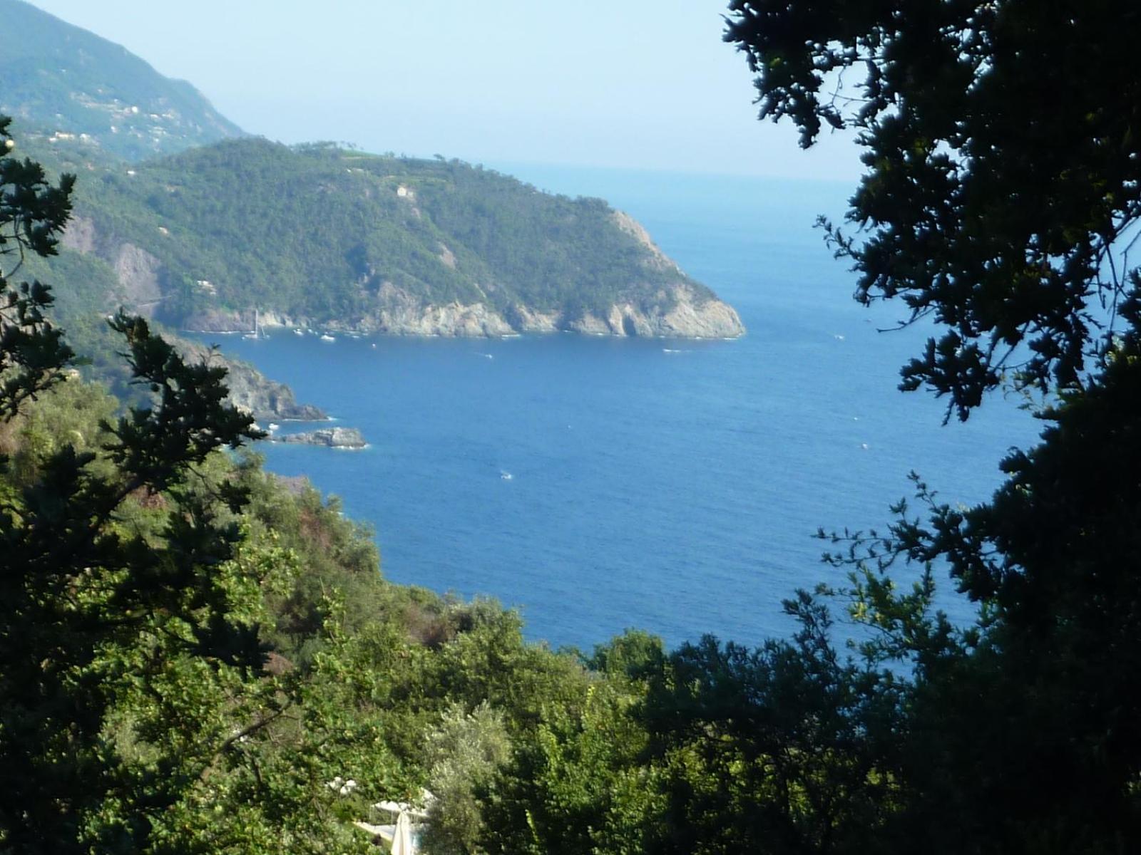 Hotel Silvia Framura - Cinque Terre Exteriér fotografie